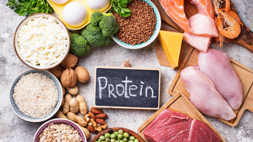 protein diet